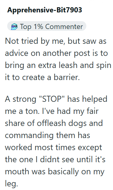 Apprehensive-Bit7903 Top 1% Commenter Not tried by me, but saw as advice on another post is to bring an extra leash and spin it to create a barrier. A strong "STOP" has helped me a ton. I've had my fair share of offleash dogs and commanding them has worked most times except the one I didnt see until it's mouth was basically on my leg.