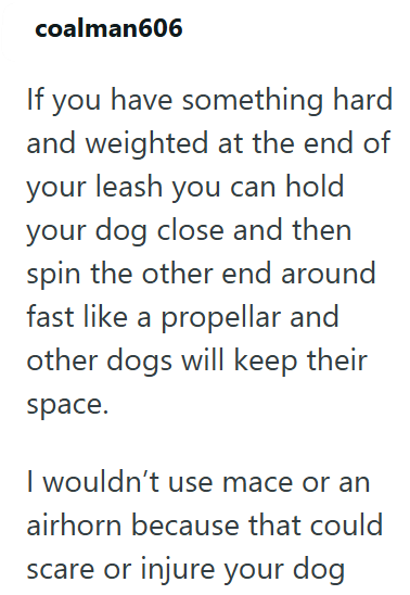 coalman606 If you have something hard and weighted at the end of your leash you can hold your dog close and then spin the other end around fast like a propellar and other dogs will keep their space. I wouldn't use mace or an airhorn because that could scare or injure your dog