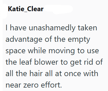 Katie_Clear I have unashamedly taken advantage of the empty space while moving to use the leaf blower to get rid of all the hair all at once with near zero effort.
