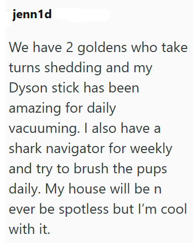 jenn1d We have 2 goldens who take turns shedding and my Dyson stick has been amazing for daily vacuuming. I also have a shark navigator for weekly and try to brush the pups daily. My house will be n ever be spotless but I'm cool with it.