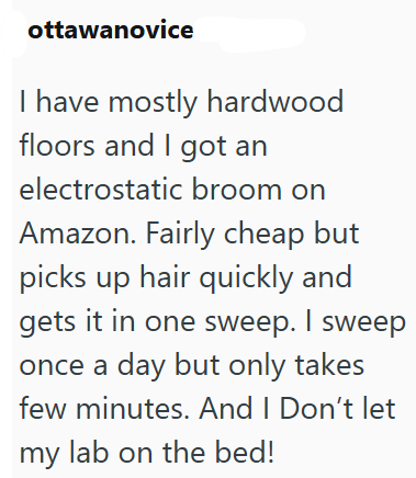 ottawanovice I have mostly hardwood floors and I got an electrostatic broom on Amazon. Fairly cheap but picks up hair quickly and gets it in one sweep. I sweep once a day but only takes few minutes. And I Don't let my lab on the bed!