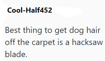 Cool-Half452 Best thing to get dog hair off the carpet is a hacksaw blade.