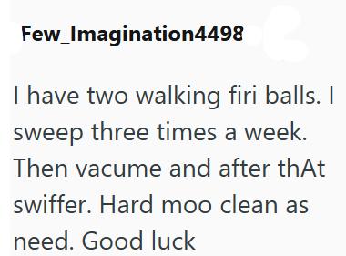 Few_Imagination4498 I have two walking firi balls. I sweep three times a week. Then vacume and after that swiffer. Hard moo clean as need. Good luck