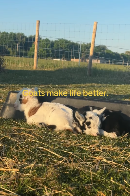 Bats make life better.