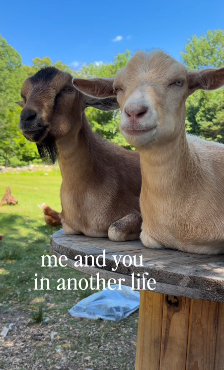 me and you in another life