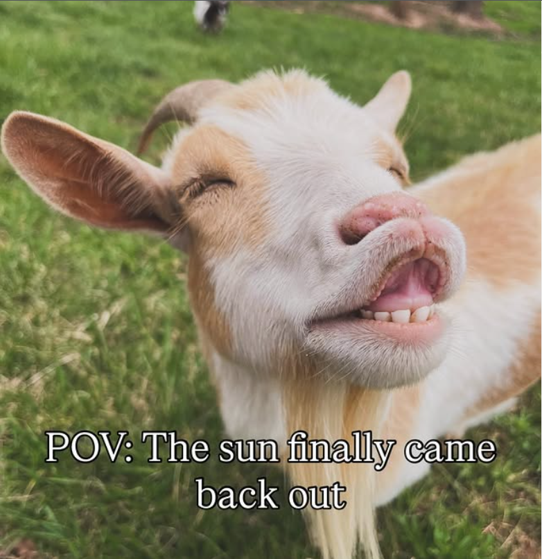 POV: The sun finally came back out