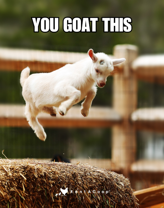 YOU GOAT THIS Rent A Coop