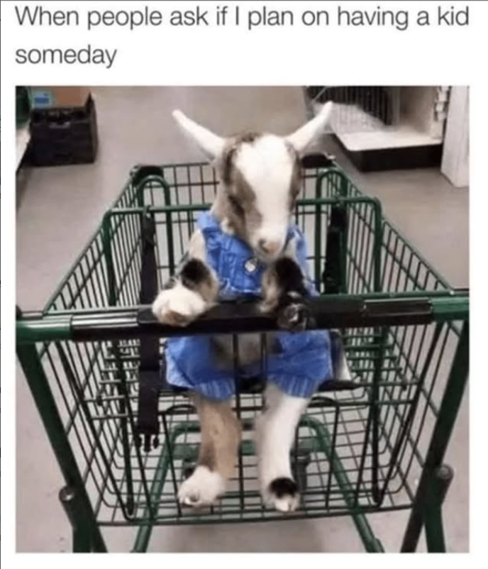 When people ask if I plan on having a kid someday