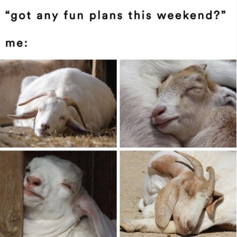 "got any fun plans this weekend?" me: