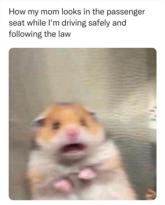 How my mom looks in the passenger seat while I'm driving safely and following the law