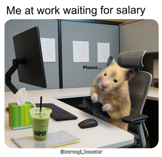 Me at work waiting for salary Please... SUPER Onurungi hamster