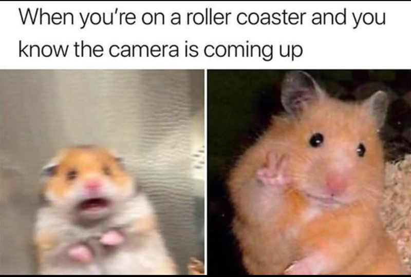 When you're on a roller coaster and you know the camera is coming up
