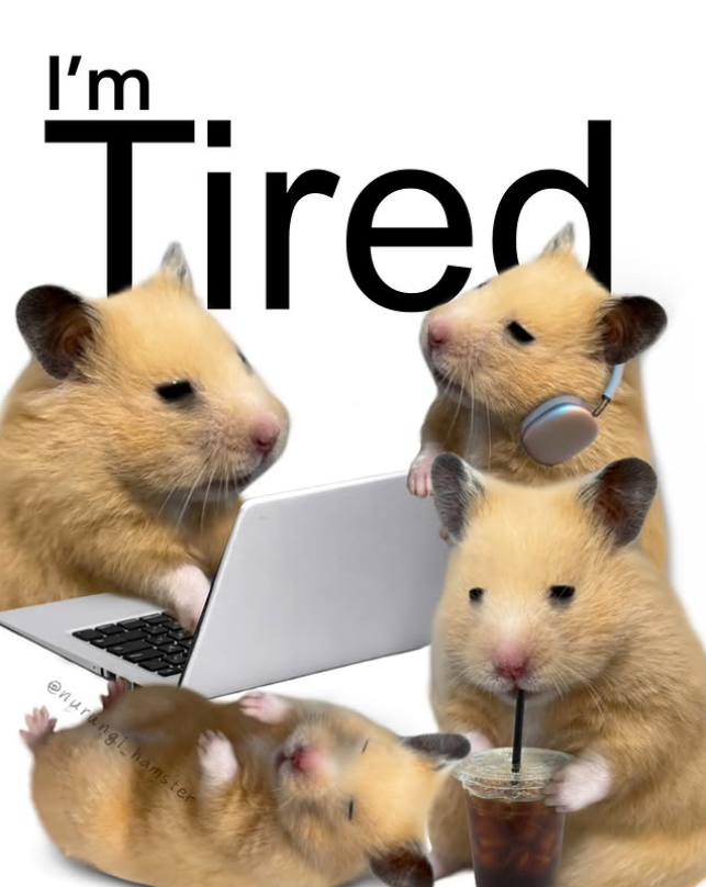 I'm Tired @nurangi hamster