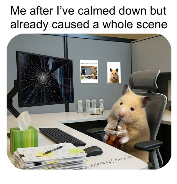 Me after I've calmed down but already caused a whole scene @nurungi hamster