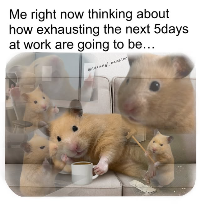 Me right now thinking about how exhausting the next 5days at work are going to be.... @nurungi hamster