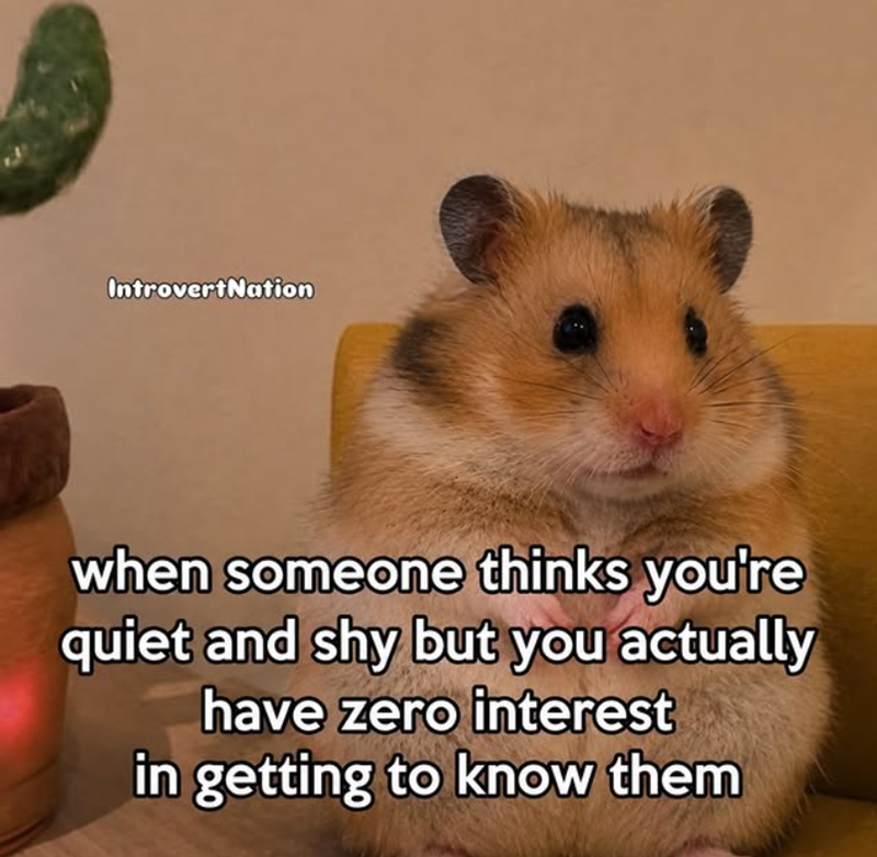 IntrovertNation when someone thinks you're quiet and shy but you actually have zero interest in getting to know them