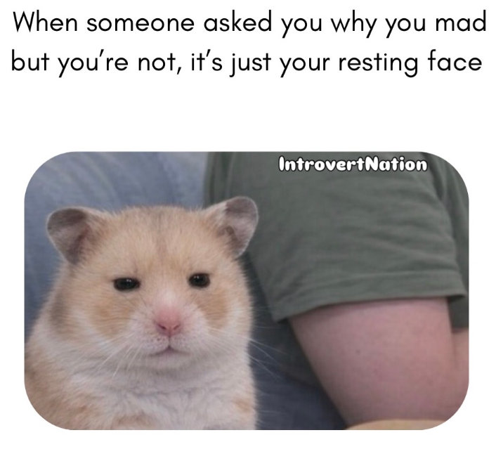 When someone asked you why you mad but you're not, it's just your resting face IntrovertNation