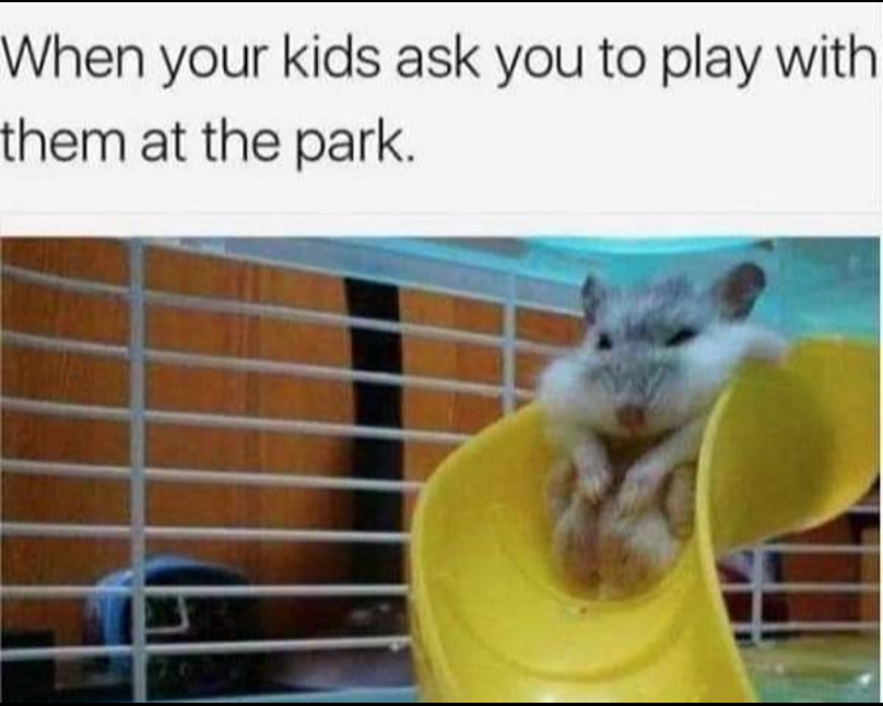 When your kids ask you to play with. them at the park.