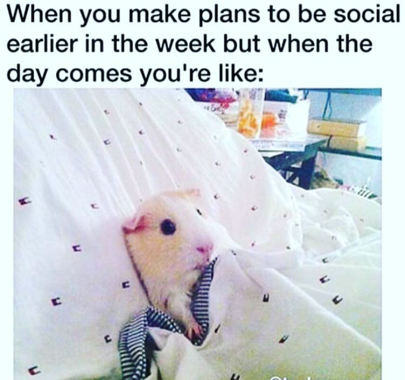When you make plans to be social earlier in the week but when the day comes you're like: C C W