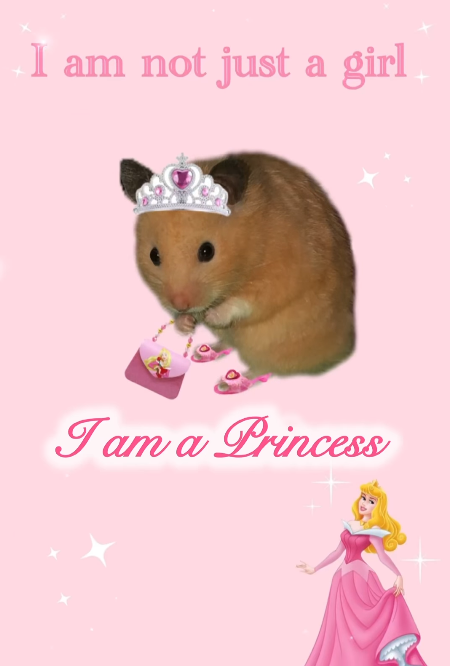 I am not just a girl I am a Princess