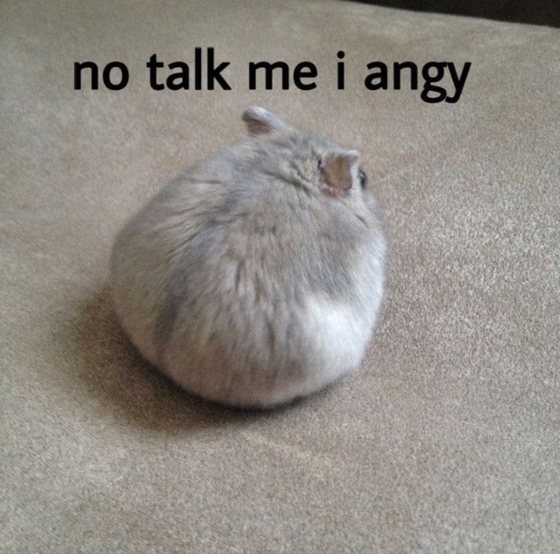 no talk me i angy
