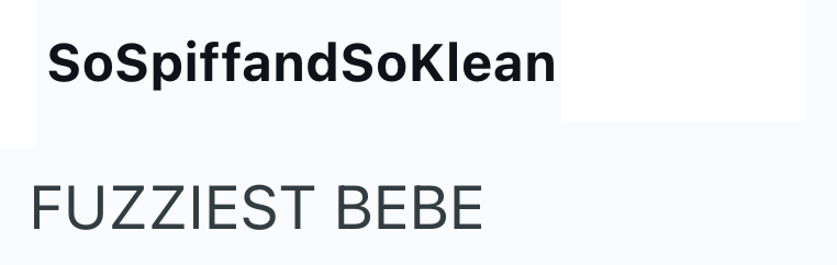 SoSpiffandSoKlean FUZZIEST BEBE