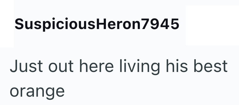 SuspiciousHeron7945 Just out here living his best orange