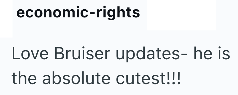 economic-rights Love Bruiser updates- he is the absolute cutest!!!