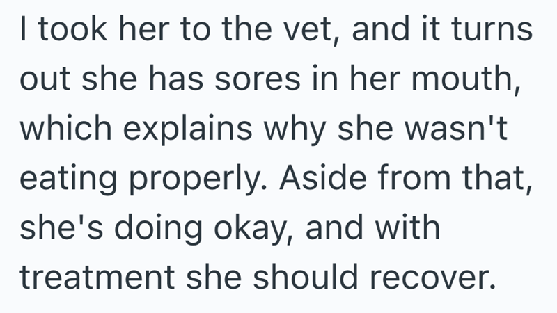 I took her to the vet, and it turns out she has sores in her mouth, which explains why she wasn't eating properly. Aside from that, she's doing okay, and with treatment she should recover.