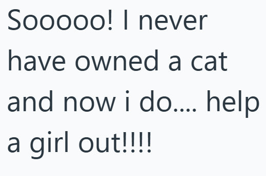 Sooooo! I never have owned a cat and now i do.... help a girl out!!!!