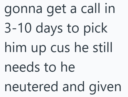 gonna get a call in 3-10 days to pick him up cus he still needs to he neutered and given