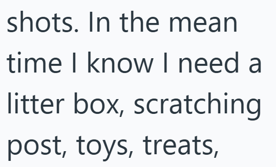 shots. In the mean time I know I need a litter box, scratching post, toys, treats,