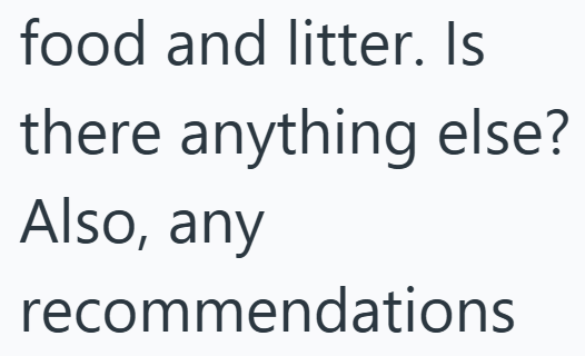 food and litter. Is there anything else? Also, any recommendations