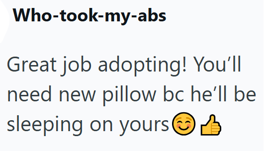 Who-took-my-abs Great job adopting! You'll need new pillow bc he'll be sleeping on yours on yours