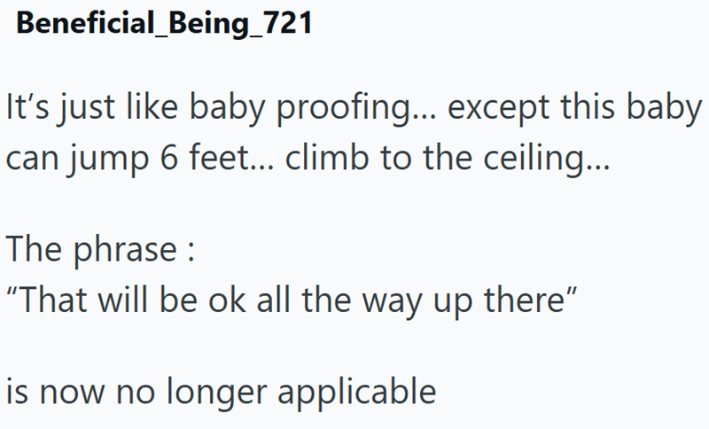 Beneficial_Being_721 It's just like baby proofing... except this baby can jump 6 feet... climb to the ceiling... The phrase: "That will be ok all the way up there" is now no longer applicable