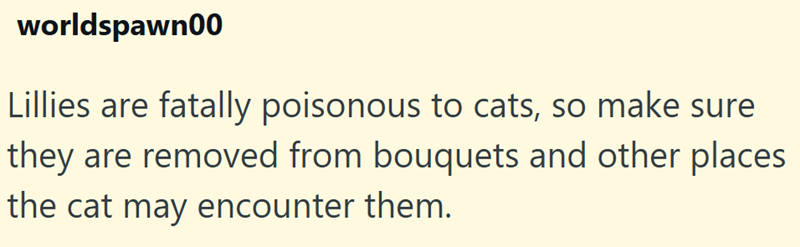 worldspawn00 Lillies are fatally poisonous to cats, so make sure they are removed from bouquets and other places the cat may encounter them.