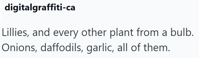 digitalgraffiti-ca Lillies, and every other plant from a bulb. Onions, daffodils, garlic, all of them.