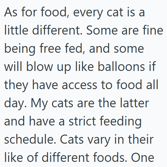 As for food, every cat is a little different. Some are fine being free fed, and some will blow up like balloons if they have access to food all day. My cats are the latter and have a strict feeding schedule. Cats vary in their like of different foods. One
