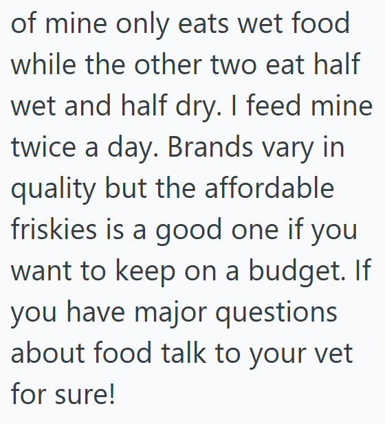 of mine only eats wet food while the other two eat half wet and half dry. I feed mine twice a day. Brands vary in quality but the affordable friskies is a good one if you want to keep on a budget. If you have major questions about food talk to your vet for sure!