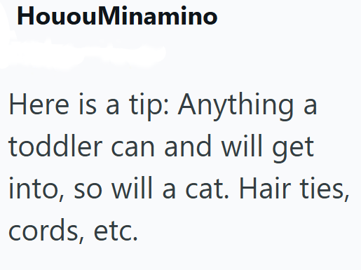 Houou Minamino Here is a tip: Anything a toddler can and will get into, so will a cat. Hair ties, cords, etc.