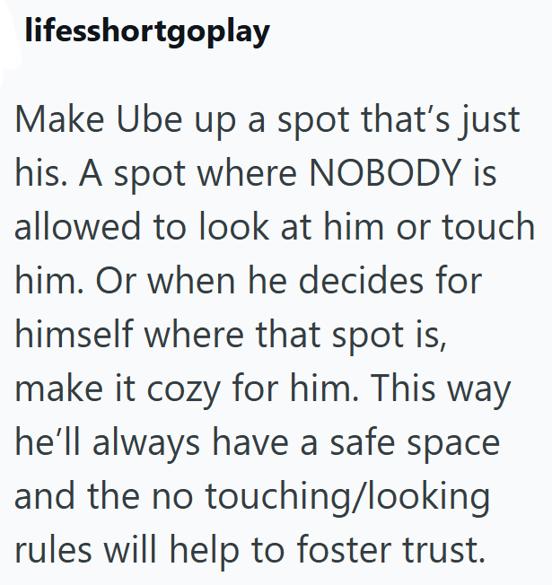 lifesshortgoplay Make Ube up a spot that's just his. A spot where NOBODY is allowed to look at him or touch him. Or when he decides for himself where that spot is, make it cozy for him. This way he'll always have a safe space and the no touching/looking rules will help to foster trust.