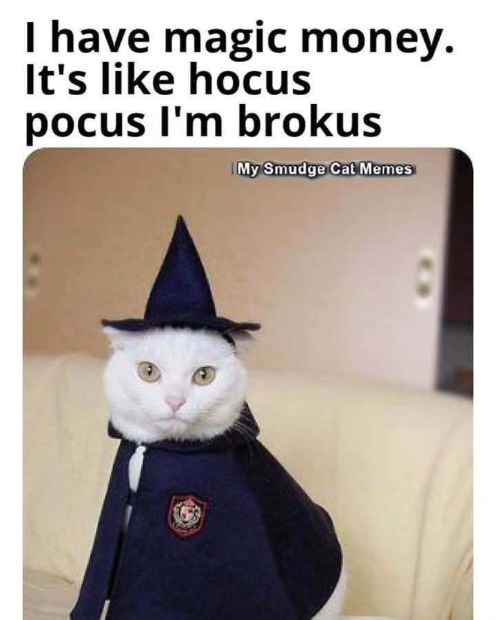 I have magic money. It's like hocus pocus I'm brokus My Smudge Cat Memes