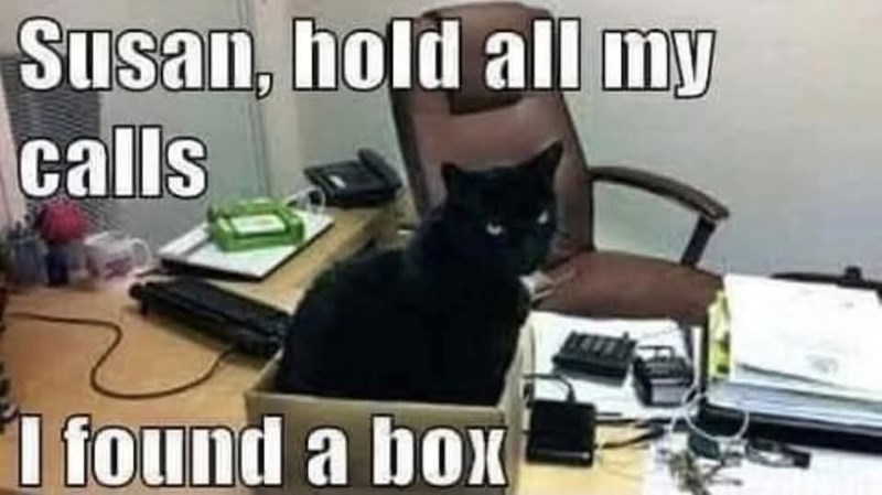 Susan, hold all my calls I found a box