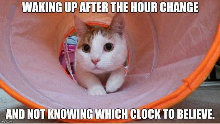 WAKING UP AFTER THE HOUR CHANGE AND NOT KNOWING WHICH CLOCK TO BELIEVE. imgflip.com