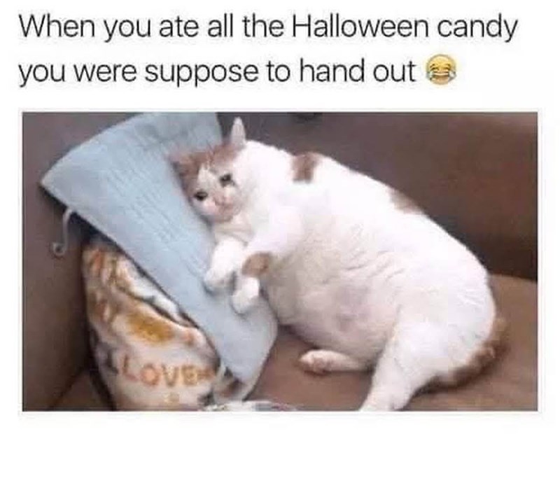 When you ate all the Halloween candy you were suppose to hand out LOVE