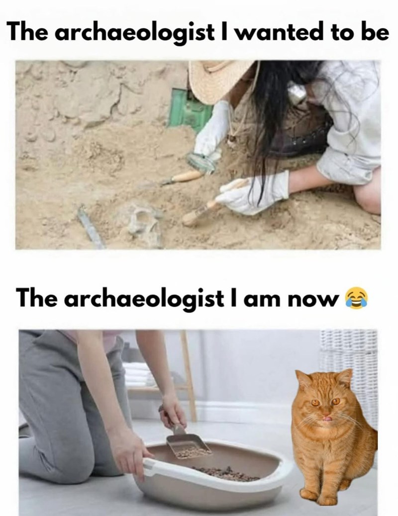 The archaeologist I wanted to be The archaeologist I am now