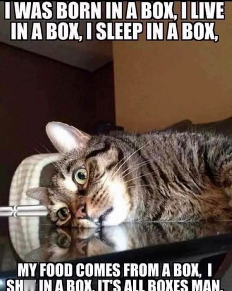 I WAS BORN IN A BOX, I LIVE IN A BOX, I SLEEP IN A BOX, MY FOOD COMES FROM A BOX, I SH IN A BOX. IT'S ALL BOXES MAN.