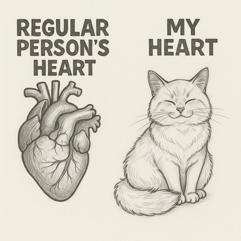 REGULAR PERSON'S HEART MY HEART