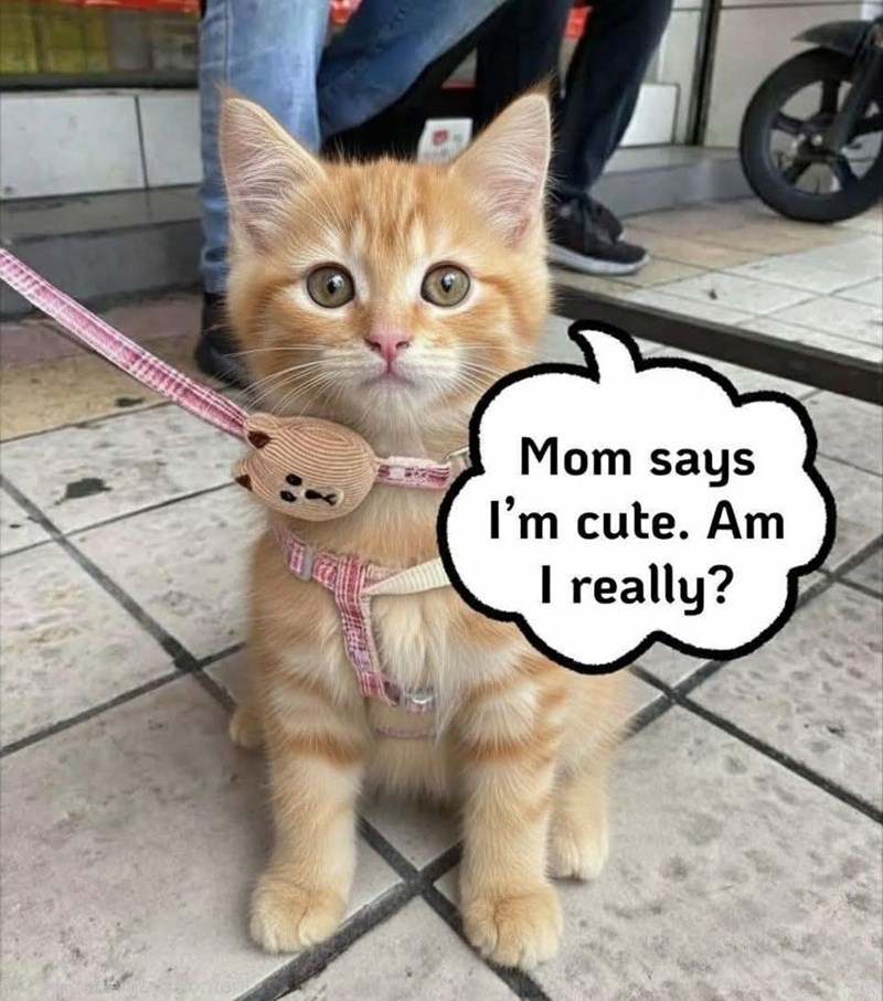 Mom says I'm cute. Am I really?
