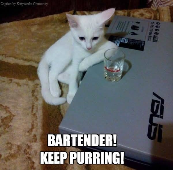 Caption by Kittyworks Cmmunity 00001 SR(10 ASUS BARTENDER! KEEP PURRING!